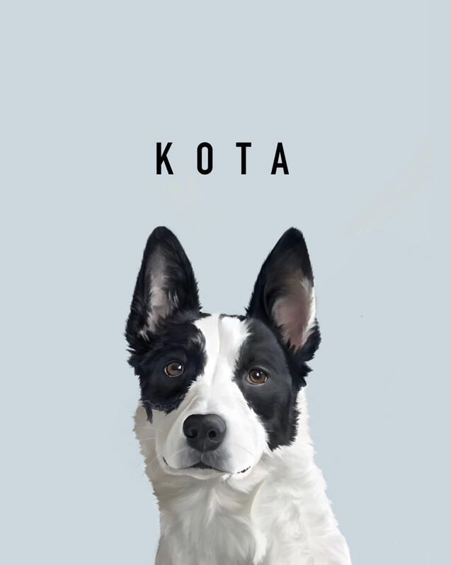 Kota